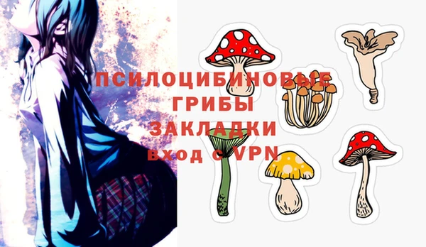 ECSTASY Бугульма