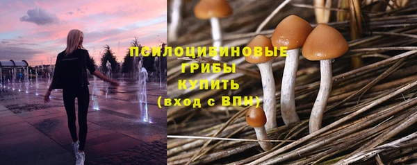 ECSTASY Бугульма