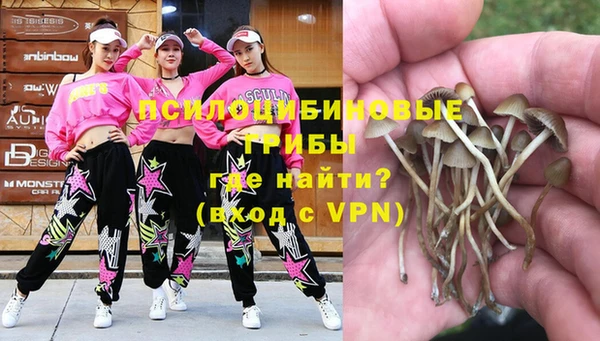 а пвп мука Бронницы