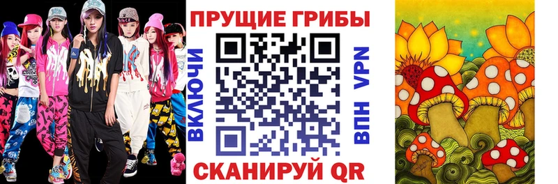 Галлюциногенные грибы MAGIC MUSHROOMS  Буй 